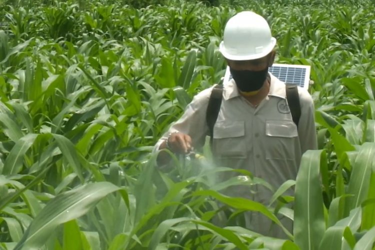 Mahasiswa asal Jember ciptakan alat semprot pertanian tenaga surya