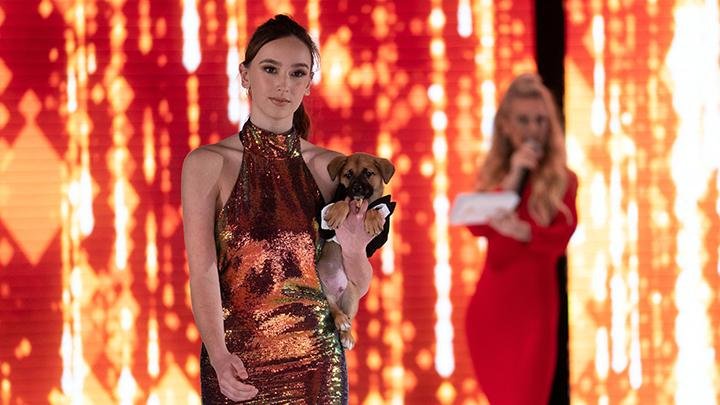 CatWalk FurBaby, Sejumlah Model Ajak Anjing Peliharaan Berlenggok di New York Fashion Week