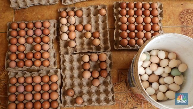'Kiamat' Telur Hantui Jepang, Ajinomoto