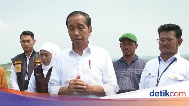 RI Impor 2 Juta Ton Beras, Jokowi Sebut buat Hadapi El Nino