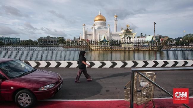 Ekonomi Brunei Darussalam, Kecil-kecil Cabai Rawit dari Asia Tenggara