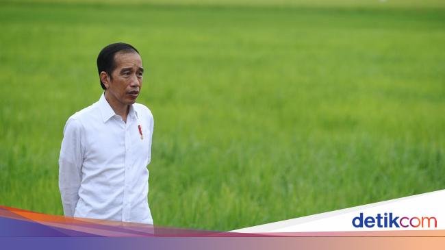Ngeri! Jokowi Ungkap Ancaman Krisis Pangan, 345 Juta Orang Bisa Kelaparan