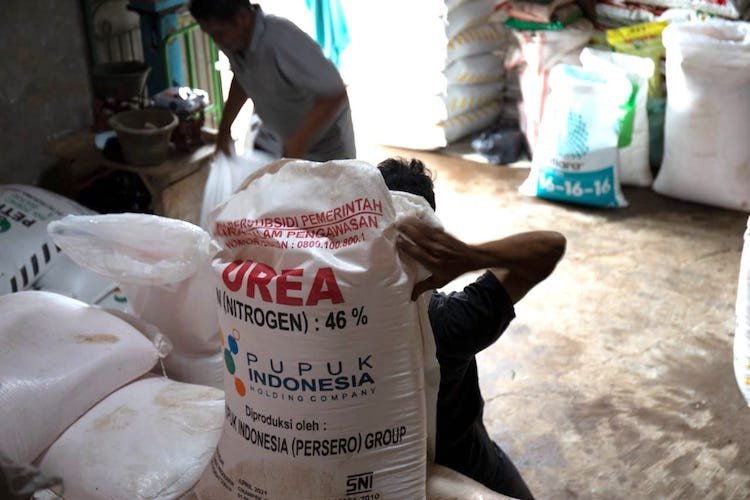 2 Capres Bicara Persoalan Pupuk, Pengamat Ingatkan Hal Penting Ini, Jleb Banget