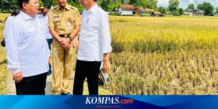 Survei Litbang "Kompas": Meningkatnya Ketergantungan Publik atas Capres Pilihan Jokowi