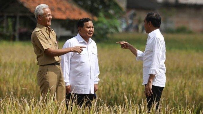 Projo Sebut Jokowi Masih Optimis Ganjar dan Prabowo Bisa Dipasangkan di Pilpres 2024