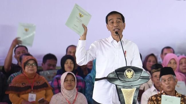 Jokowi Minta Sawit Tak Diekspor Mentah-mentah: Bisa Jadi Sabun