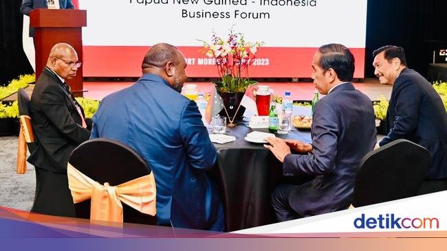 Jokowi di Forum APEC Haus: Papua Nugini dan Indonesia Raksasa Ekonomi