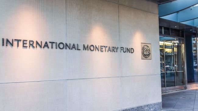 Ahli Bongkar Alasan IMF Minta RI Hapus Hilirisasi, Gegara Ini