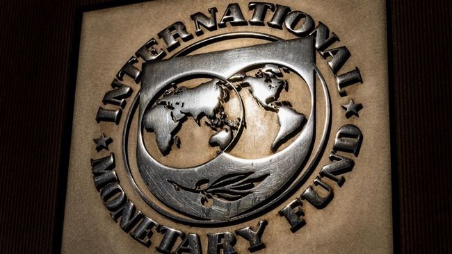 Pernah Ikuti Saran IMF, Nasib RI Malah Apes