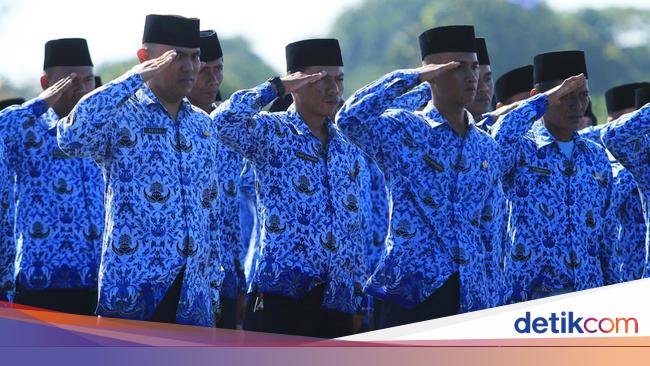 3 Fakta PNS Part Time Gantikan Tenaga Honorer yang Dihapus November