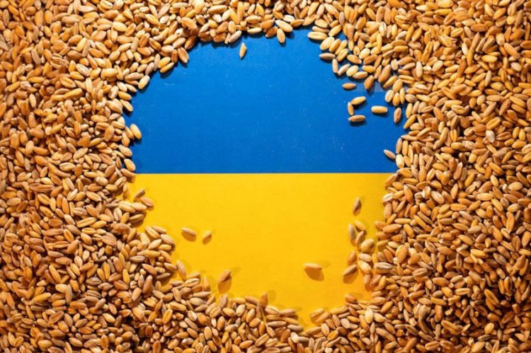 5 Negara Uni Eropa Melarang Impor Biji-bijian Asal Ukraina