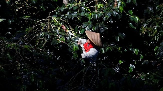 Eropa Bakal Nyesel Seumur Hidup Jika Jegal Harta Karun RI Ini