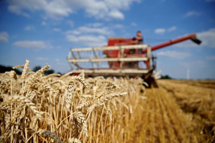 5 Negara Eropa Bersikeras Lanjutkan Larangan Impor Biji-bijian Asal Ukraina hingga Akhir 2023