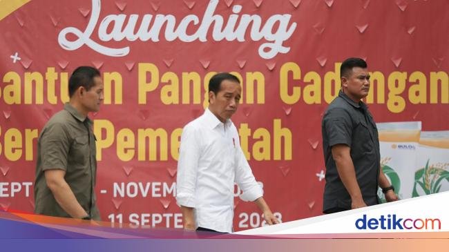 Jokowi Ungkap Penyebab Harga Beras Meroket