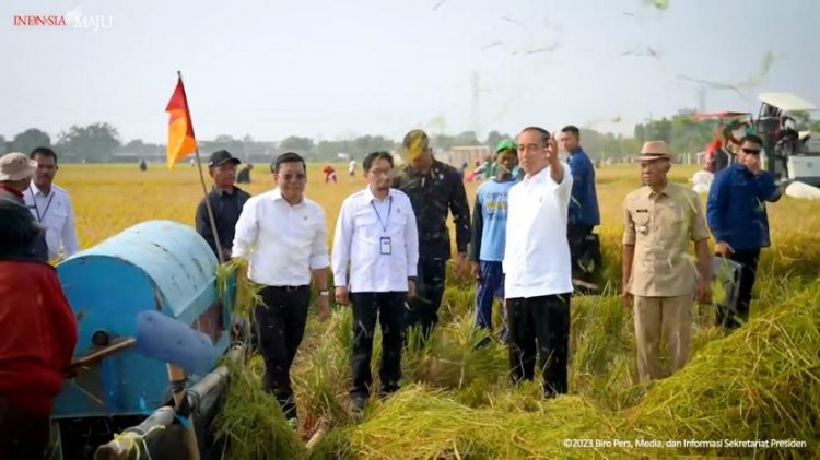 Harga Gabah Tinggi, Jokowi: Semua Petani Senang
