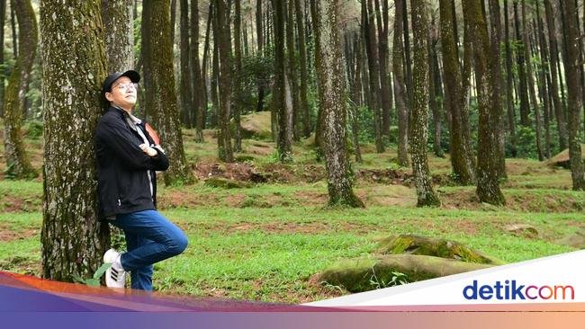 Hutan Pinus Gunung Pancar, Lokasi Sri Mulyani Nikmati Weekend