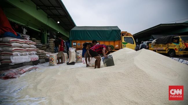 Produksi Beras Meningkat Januari 2024, BPS Berharap Harga Segera Turun