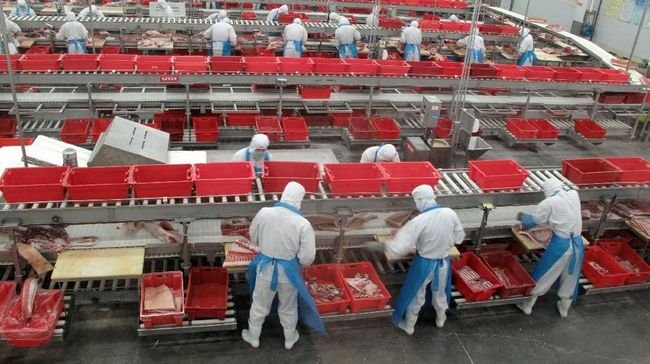 Lampu Kuning Ekonomi China, Babak Belur Dihajar Daging Babi