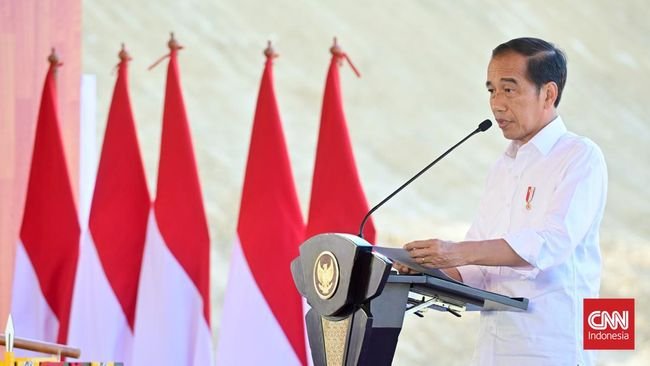 Jokowi Klaim Investor Asing Sudah Mulai Masuk ke IKN