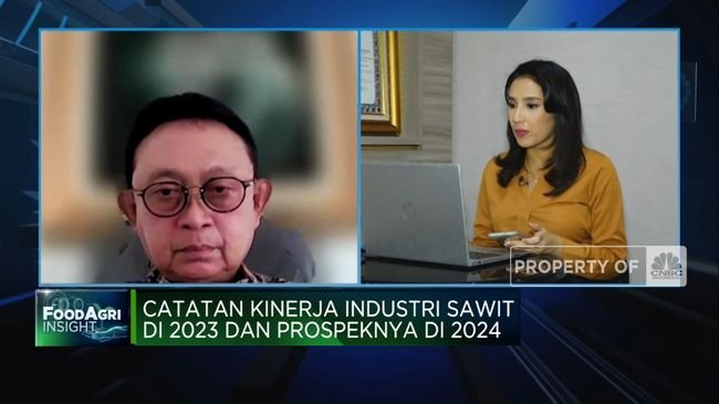 Kampanye Hitam & Harga Anjlok, Tantangan Bisnis Sawit 2024