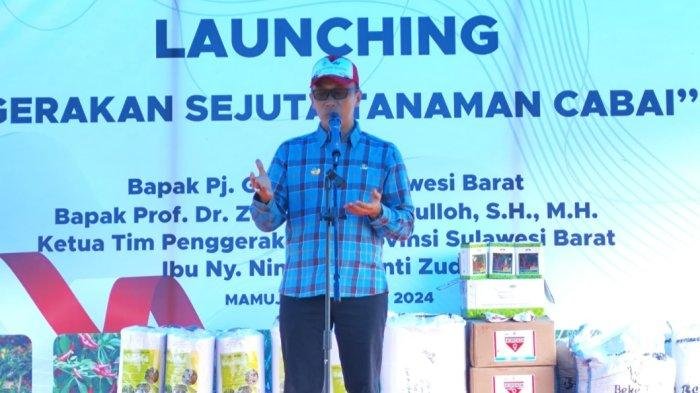 Pemprov Sulbar Launching Gerakan Sejuta Tanam Cabai di Kalukku - Tribun-sulbar.com