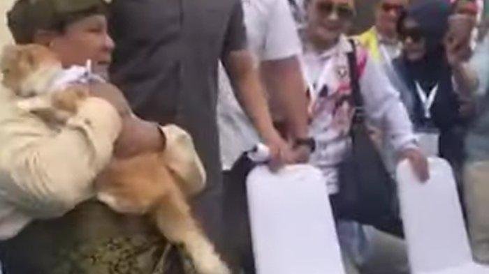 Momen Prabowo Subianto Tak Tahan Gendong Kucing di Tengah Kampanye di Batam