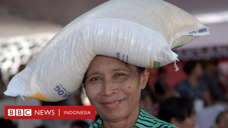 Harga beras naik: Mengapa persoalan beras terus terjadi setiap tahun di Indonesia?
