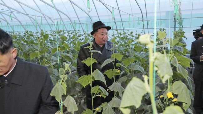 Kim Jong Un Mau Bikin 'Revolusi Industri' di Pedesaan Korea Utara
