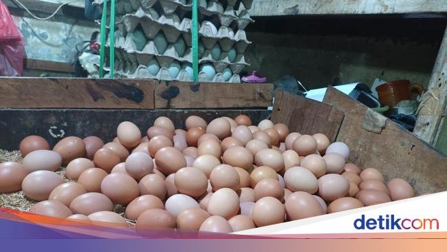 Telur Ayam hingga Beras Sumbang Inflasi Maret