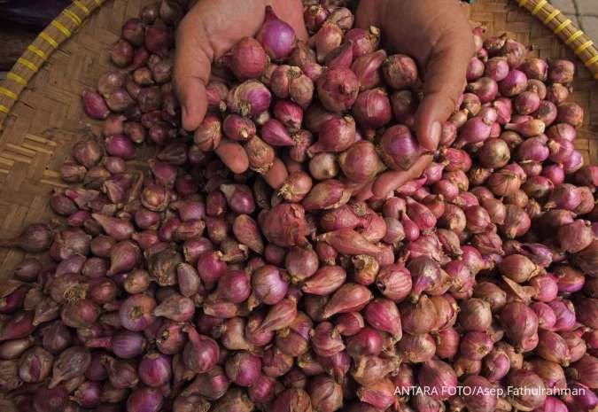 Sentra Produksi Terdampak Banjir, Bapanas Lakukan Stabilisasi Bawang Merah