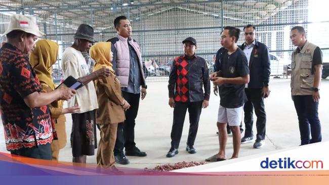 Satgas Pangan Polri Ungkap Penyebab Gagal Panen Bawang Merah di Brebes