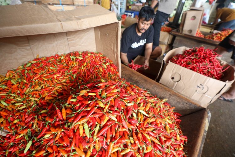 Harga Pangan Hari Ini 8 Mei: Harga Telur Ayam Naik, Cabai Makin Pedas