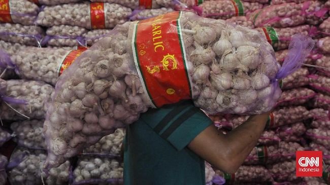 Mendagri Beber Biang Kerok Harga Bawang Putih Meroket