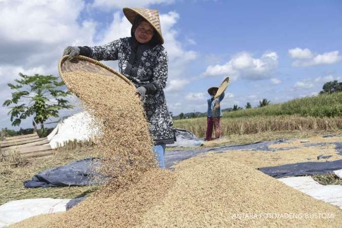 Kebijakan Baru HPP Gabah, Harga Gabah di Tingkat Petani Mulai Rp 6.000 Per Kg