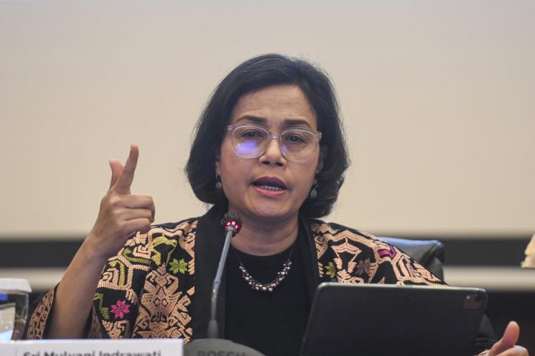 Sri Mulyani Ungkap Alasan Pemerintah Naikkan PPN Jadi 12% di 2025