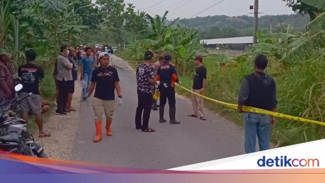 Konten 'Sukolilo Bos', Puluhan Kendaraan Bodong, dan Tanah Para Bandit