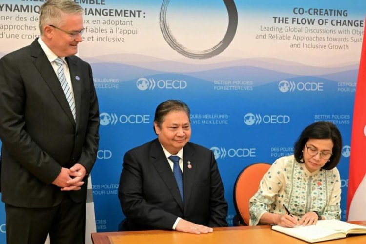 Pengusaha Minta Pemerintah Pertimbangkan Saran OECD soal Transfer Pricing