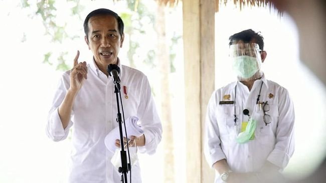 Jokowi Tak Mau Lagi Food Estate Digarap Pakai Duit APBN