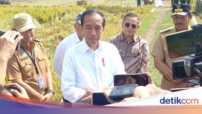 Jokowi Buka-bukaan Biang Kerok Harga Beras Mahal!