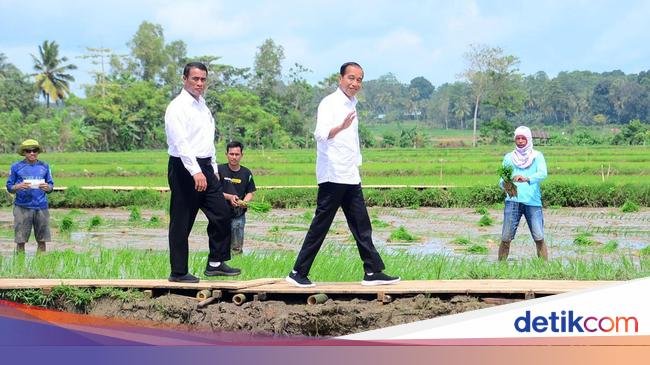 Jokowi Ungkap Biang Kerok RI Tak Kunjung Swasembada Pangan Lagi