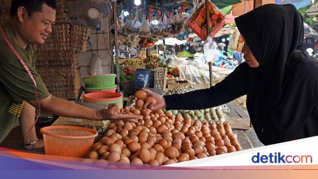 Tok! Harga Jagung hingga Telur Ayam Naik, Ini Rinciannya