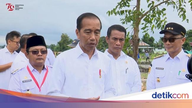 Jokowi Ungkap Penyebab RI Tidak Lagi Swasembada Pangan