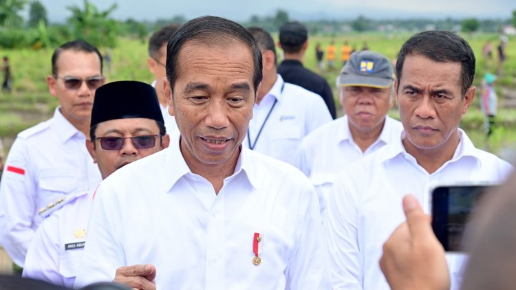 Presiden Jokowi Sebut Potensi IKN Dongkrak Pertumbuhan Ekonomi Sektor Pertanian bagi Daerah Sekitar