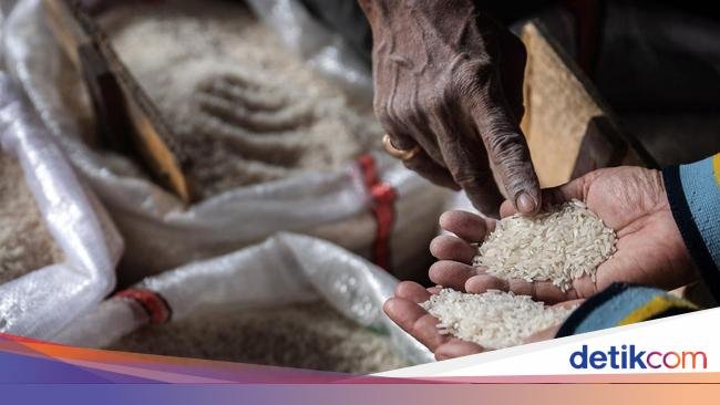 Duh! Harga Beras Naik di 116 Kabupaten/Kota