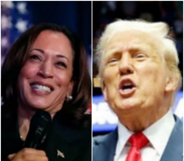 Survei Pilpres AS 2024: Kamala Harris Meningkat, Capres Demokrat Ungguli Donald Trump Usai Joe Biden Mundur?