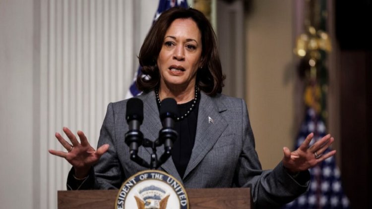 Kamala Harris Raih Mayoritas Delegasi Demokrat untuk Jadi Capres