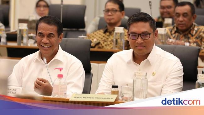 Wamentan Sebut Program Pertanian Berhasil, RI Menuju Swasembada Beras