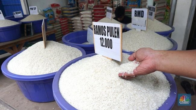 Impor Pangan RI Naik di Januari-Agustus 2024, Beras Meroket 121%