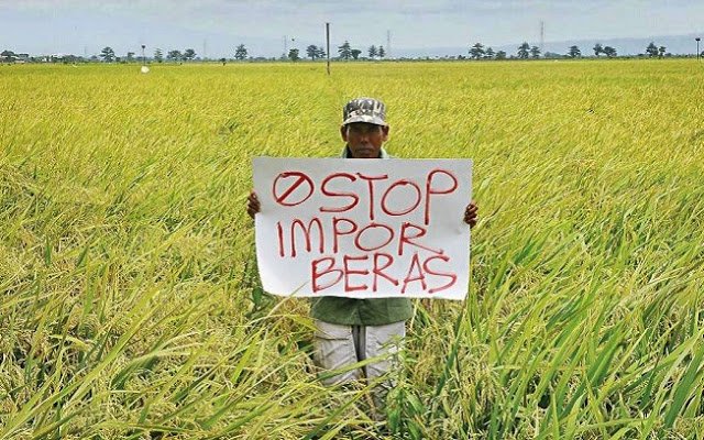 Harga Beras Mahal tapi Petani Tetap Miskin, Denis: Mulyono Hanya Memperkaya Oligarki