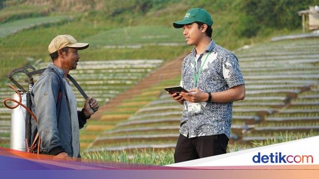 Terungkap! Ini Alasan Anak Muda RI Tak Minat Kerja Pertanian